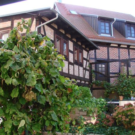 Appartement Ferienhaus Sontag à Wolgast Extérieur photo