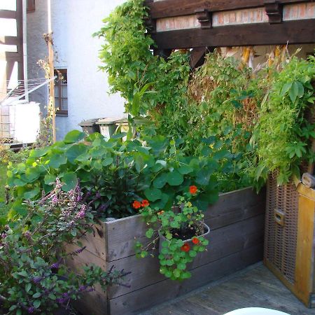 Appartement Ferienhaus Sontag à Wolgast Extérieur photo