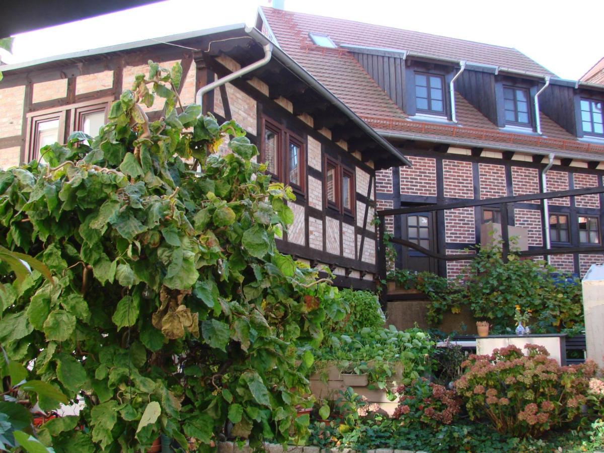 Appartement Ferienhaus Sontag à Wolgast Extérieur photo