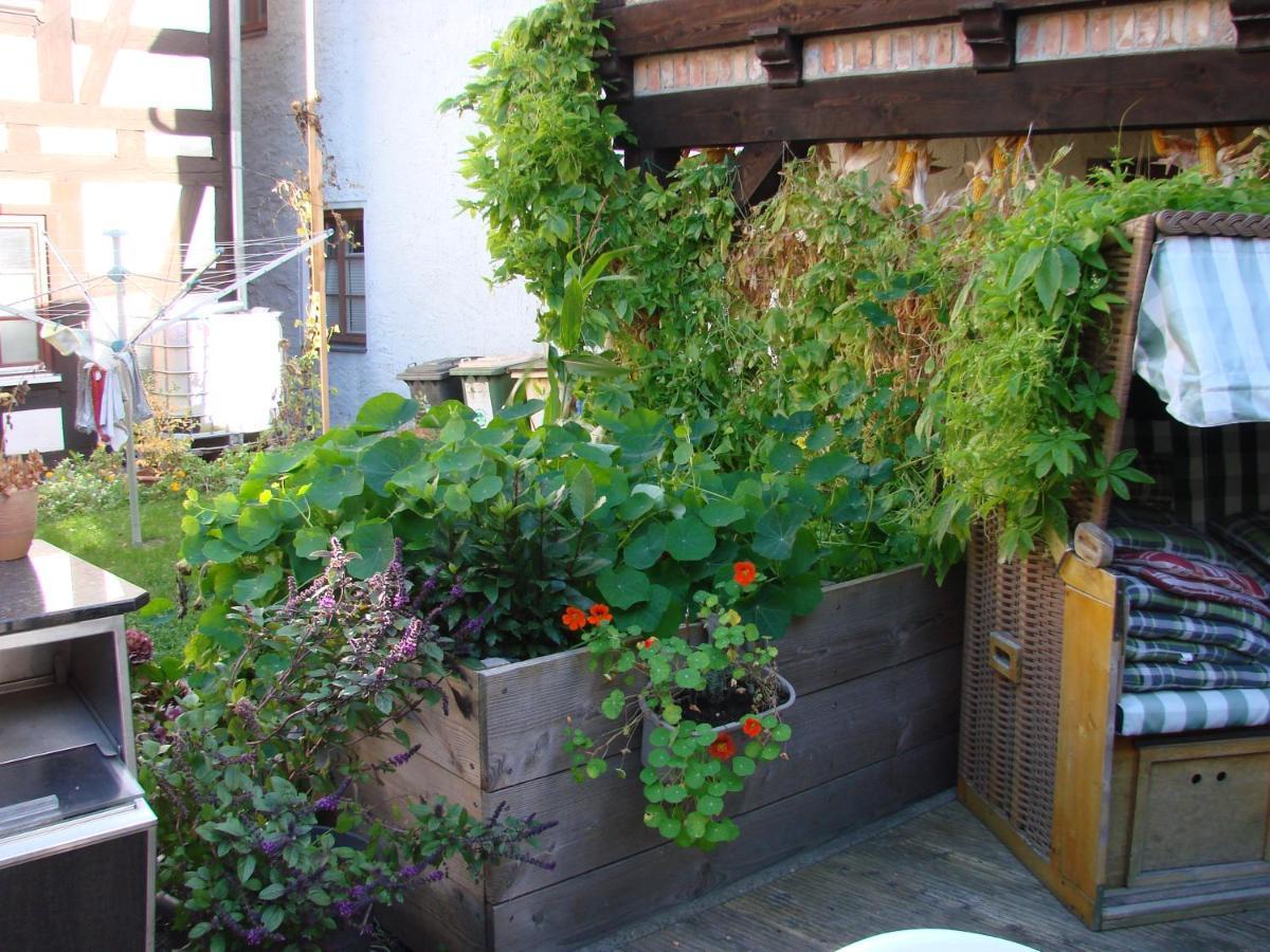 Appartement Ferienhaus Sontag à Wolgast Extérieur photo